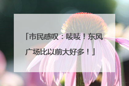 市民感叹：唛唛！东风广场比以前大好多！