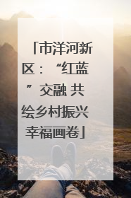 市洋河新区：“红蓝”交融 共绘乡村振兴幸福画卷
