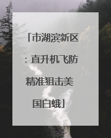 市湖滨新区：直升机飞防 精准狙击美国白蛾