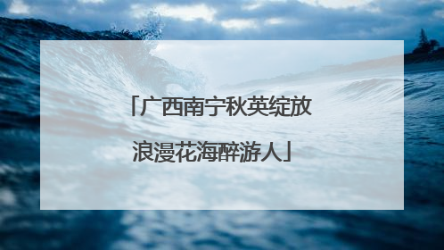 广西南宁秋英绽放 浪漫花海醉游人