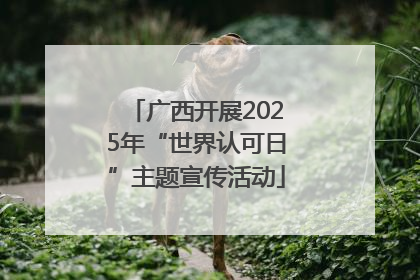 广西开展2025年“世界认可日”主题宣传活动