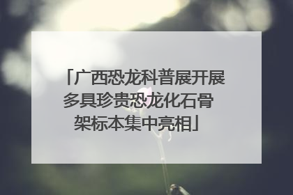 广西恐龙科普展开展 多具珍贵恐龙化石骨架标本集中亮相