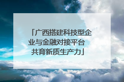 广西搭建科技型企业与金融对接平台 共育新质生产力