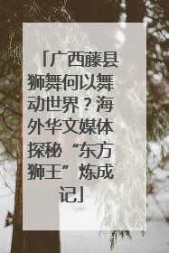 广西藤县狮舞何以舞动世界？海外华文媒体探秘“东方狮王”炼成记