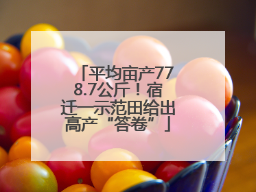 平均亩产778.7公斤！宿迁一示范田给出高产“答卷”