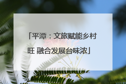 平潭：文旅赋能乡村旺 融合发展台味浓