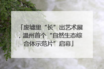 废墟里“长”出艺术展，温州首个“自然生态综合体示范片”启幕