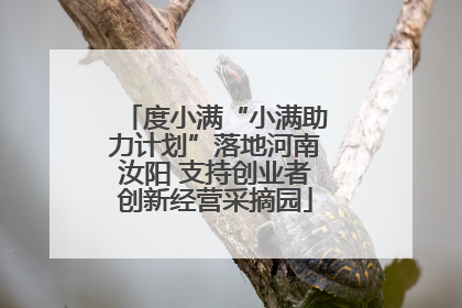 度小满“小满助力计划”落地河南汝阳 支持创业者创新经营采摘园