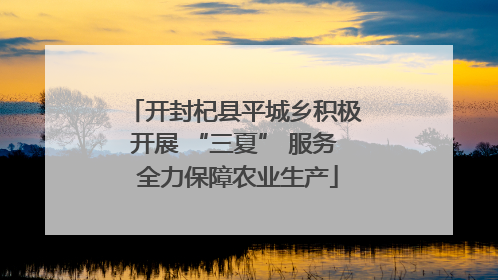 开封杞县平城乡积极开展 “三夏” 服务 全力保障农业生产