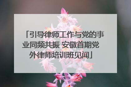 引导律师工作与党的事业同频共振 安徽首期党外律师培训班见闻