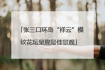张三口环岛“祥云”模纹花坛呈现最佳景观