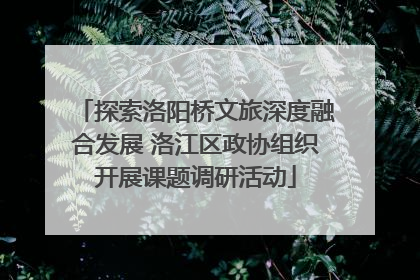 探索洛阳桥文旅深度融合发展 洛江区政协组织开展课题调研活动