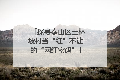 探寻泰山区王林坡村当“红”不让的“网红密码”