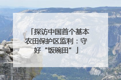 探访中国首个基本农田保护区监利：守好“饭碗田”