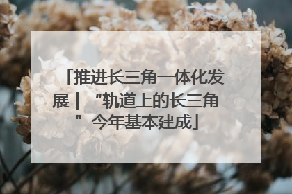 推进长三角一体化发展｜“轨道上的长三角”今年基本建成