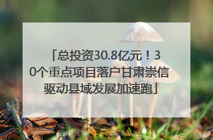 总投资30.8亿元！30个重点项目落户甘肃崇信 驱动县域发展加速跑