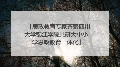 思政教育专家齐聚四川大学锦江学院共研大中小学思政教育一体化