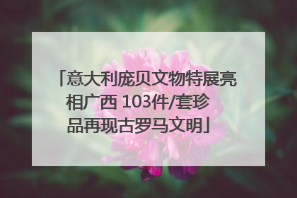 意大利庞贝文物特展亮相广西 103件/套珍品再现古罗马文明