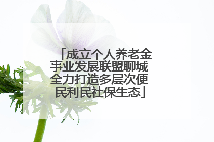 成立个人养老金事业发展联盟聊城全力打造多层次便民利民社保生态