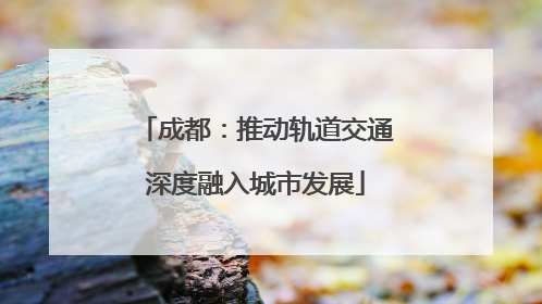 成都：推动轨道交通深度融入城市发展