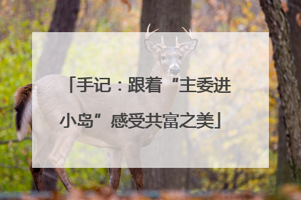 手记：跟着“主委进小岛”感受共富之美