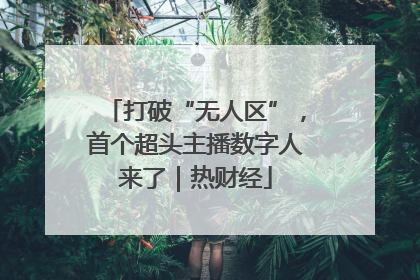 打破“无人区”，首个超头主播数字人来了｜热财经