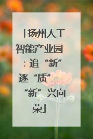 扬州人工智能产业园：追“新”逐“质” “新”兴向荣