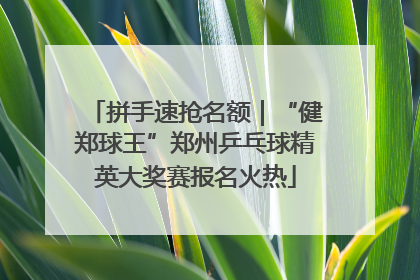 拼手速抢名额｜“健郑球王”郑州乒乓球精英大奖赛报名火热