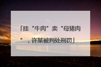 挂“牛肉”卖“母猪肉”，许某被判处刑罚