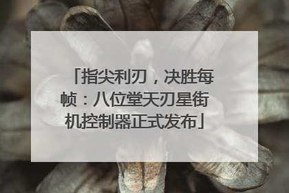 指尖利刃，决胜每帧：八位堂天刃星街机控制器正式发布