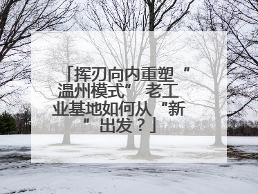 挥刃向内重塑“温州模式” 老工业基地如何从“新”出发？
