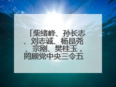 柴绪峰、孙长志、刘志诚、杨昆尧、宗刚、樊桂玉，罔顾党中央三令五申，不知敬畏、我行我素、肆意妄为！