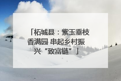 柘城县：紫玉垂枝香满园 串起乡村振兴“致富链”