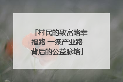 村民的致富路幸福路 一条产业路背后的公益脉络