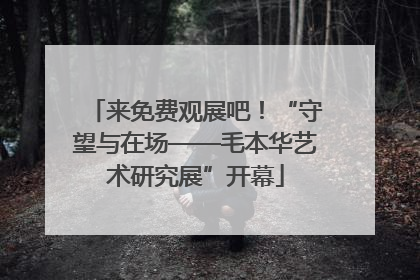 来免费观展吧！“守望与在场——毛本华艺术研究展”开幕