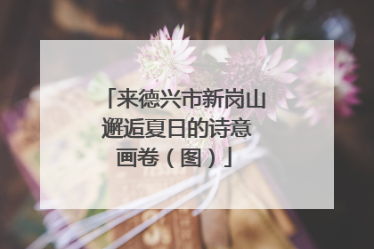 来德兴市新岗山 邂逅夏日的诗意画卷（图）