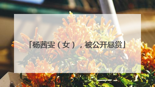 杨茜雯（女），被公开悬赏
