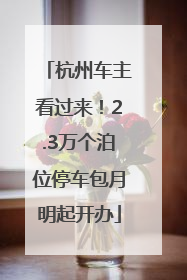 杭州车主看过来！2.3万个泊位停车包月明起开办