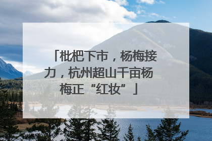枇杷下市，杨梅接力，杭州超山千亩杨梅正“红妆”