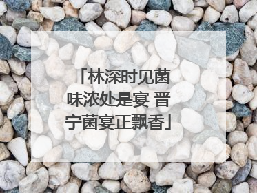 林深时见菌 味浓处是宴 晋宁菌宴正飘香