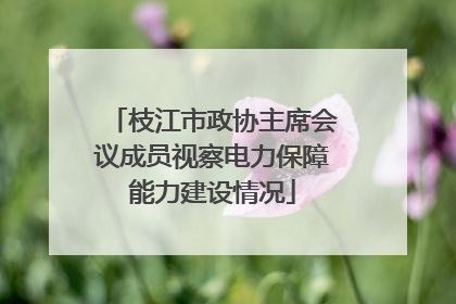 枝江市政协主席会议成员视察电力保障能力建设情况