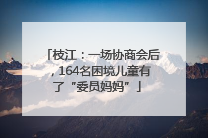 枝江：一场协商会后，164名困境儿童有了“委员妈妈”