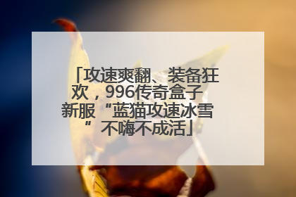 攻速爽翻、装备狂欢，996传奇盒子新服“蓝猫攻速冰雪”不嗨不成活