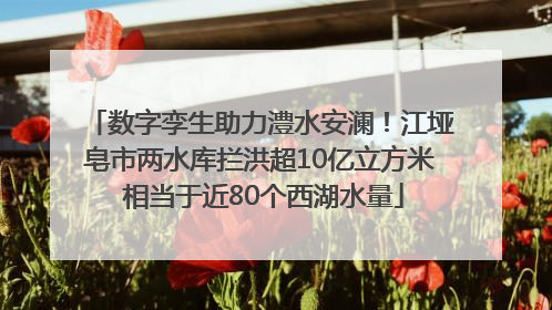 数字孪生助力澧水安澜！江垭皂市两水库拦洪超10亿立方米 相当于近80个西湖水量