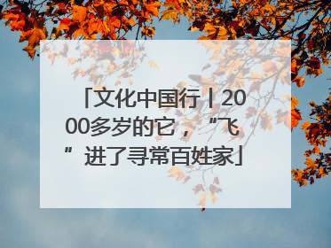文化中国行丨2000多岁的它，“飞”进了寻常百姓家