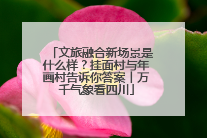 文旅融合新场景是什么样？挂面村与年画村告诉你答案丨万千气象看四川