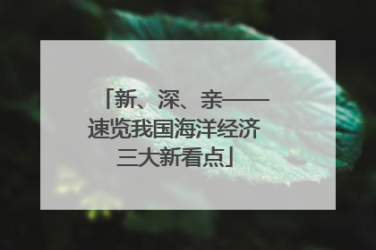 新、深、亲——速览我国海洋经济三大新看点