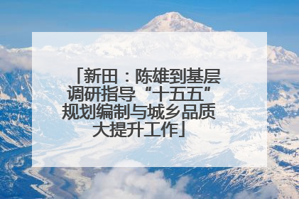 新田：陈雄到基层调研指导“十五五”规划编制与城乡品质大提升工作