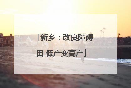 新乡：改良障碍田 低产变高产