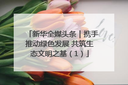 新华全媒头条｜携手推动绿色发展 共筑生态文明之基（1）